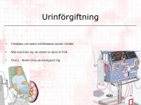 /album/a6-utsondringssystemet/a6-utso%cc%88ndringsorganen-010-jpeg/